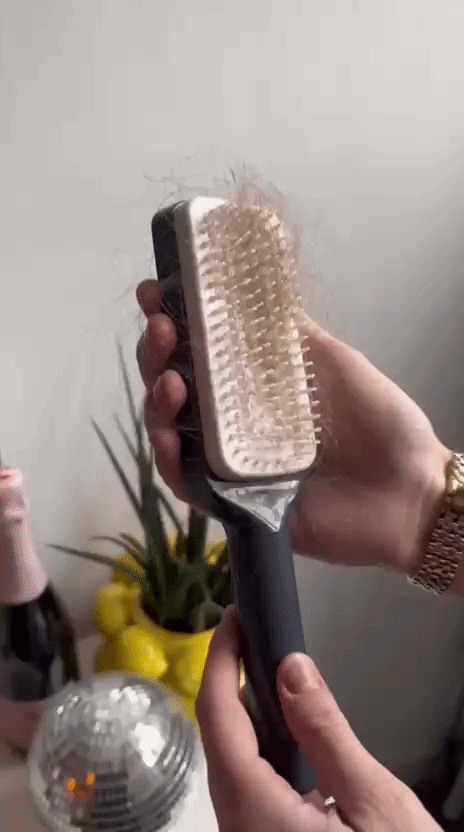 self clean brush